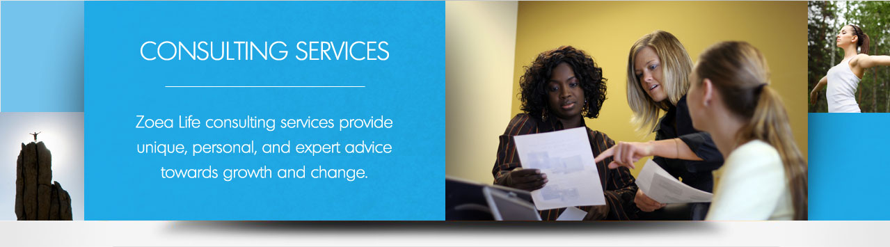 Consulting Services