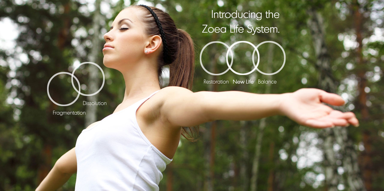 Introducing the Zoea Life System